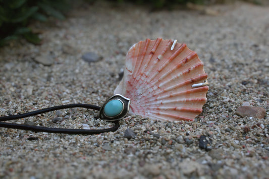 Shell pendant (Silver and Turquoise)